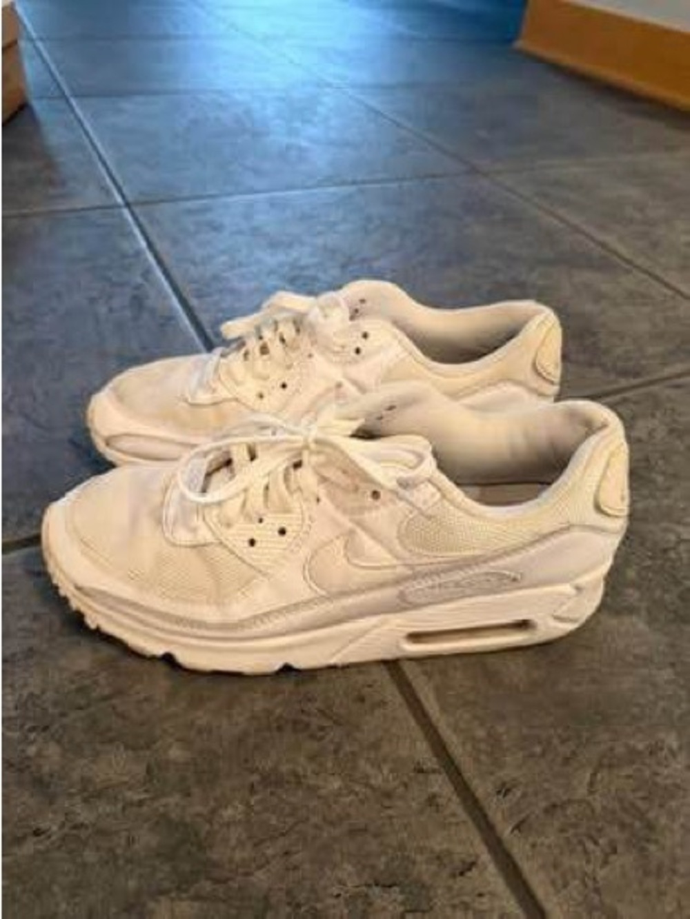 Nike Air Max Shoes low Top